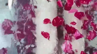 书法作品骚逼老婆爽歪歪